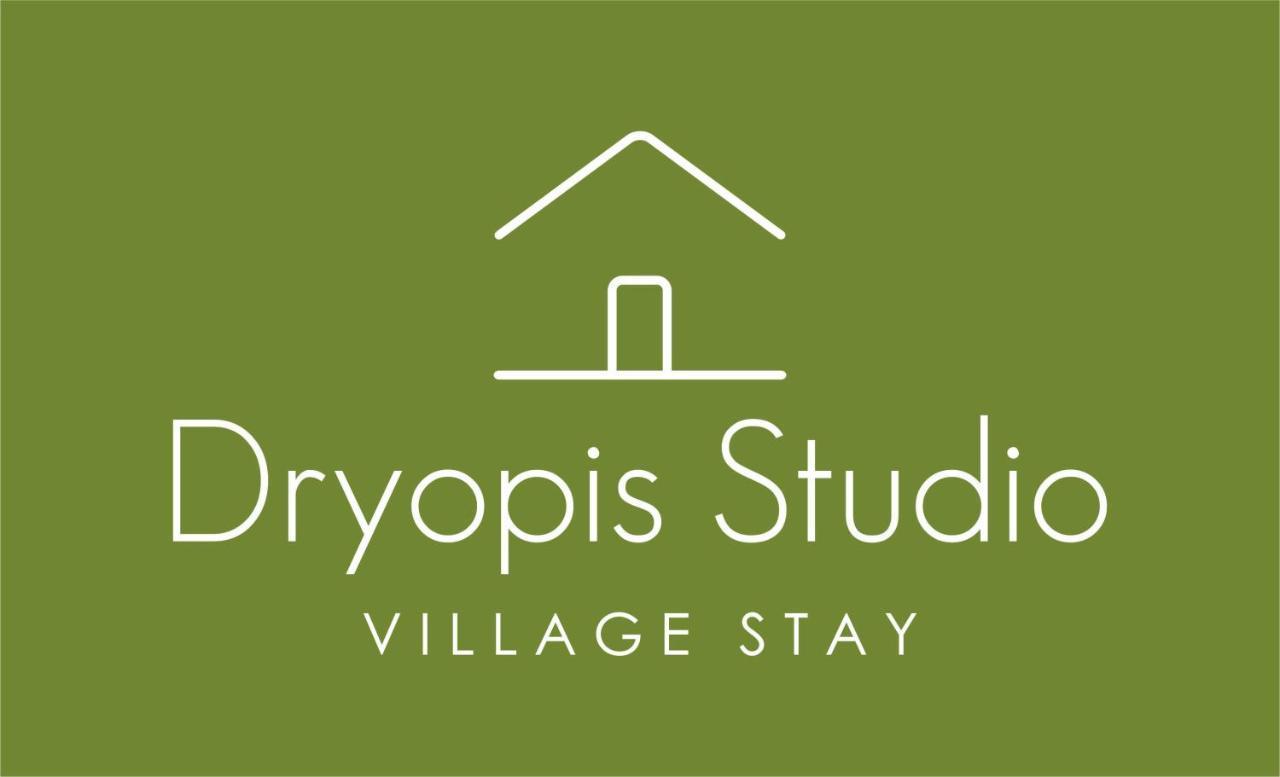Dryopis Studio Driópi Kültér fotó